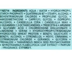 Kérastase Kerastase Resistance Masque Force Architecte 500mL -On Trend Beauty OTB 109.alt 1