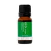 Eco Peppermint Pure Essential Oil 10mL 1 Eco Peppermint Pure Essential Oil 10mL -On Trend Beauty OTB 1165.full