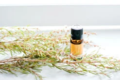 ECO. Frankincense Pure Essential Oil - 10mL Aromatic Wellness -On Trend Beauty OTB 1168.alt 1