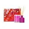The Aromatherapy Co. SOL Radiant Amber Gift Set 2 The Aromatherapy Co. SOL Radiant Amber Gift Set -On Trend Beauty OTB 2647.full
