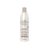 Alfaparf Il Salone Milano Magnificent Shampoo For Coloured Hair 500mL -On Trend Beauty OTB 3824.full