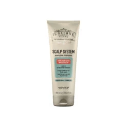 Alfaparf Il Salone Milano Scalp System Anti Hair-Loss Energise Shampoo 250mL