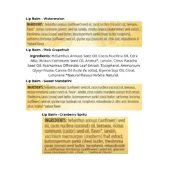 Burt's Bees Sweet Summer Lip Balm Set 4x4.25g -On Trend Beauty OTB 4007.alt 5