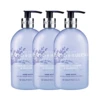 Baylis & Harding English Lavender & Chamomile Hand Wash 500mL (3 Pack) -On Trend Beauty OTB 4263.full