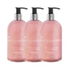 Baylis & Harding Anti-Bacterial Wild Rhubarb & Pink Pepper Hand Wash - 3 x 500mL 1 Baylis & Harding Anti-Bacterial Wild Rhubarb & Pink Pepper Hand Wash - 3 x 500mL -On Trend Beauty OTB 4267.full