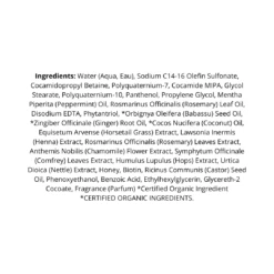 Mielle Rosemary Mint Scalp & Hair Strengthening Shampoo 355mL -On Trend Beauty OTB 5273.alt 3