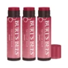 3 X Burt's Bees Tinted Lip Balm 4.25g - Daisy -On Trend Beauty OTB 5500.full