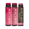 Burt's Bees Tinted Lip Balm Set 3x4.25g -On Trend Beauty OTB 5578.full