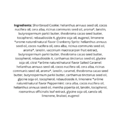 Burt's Bees Festive Fix 4 Piece Gift Set -On Trend Beauty OTB 5940.alt 3