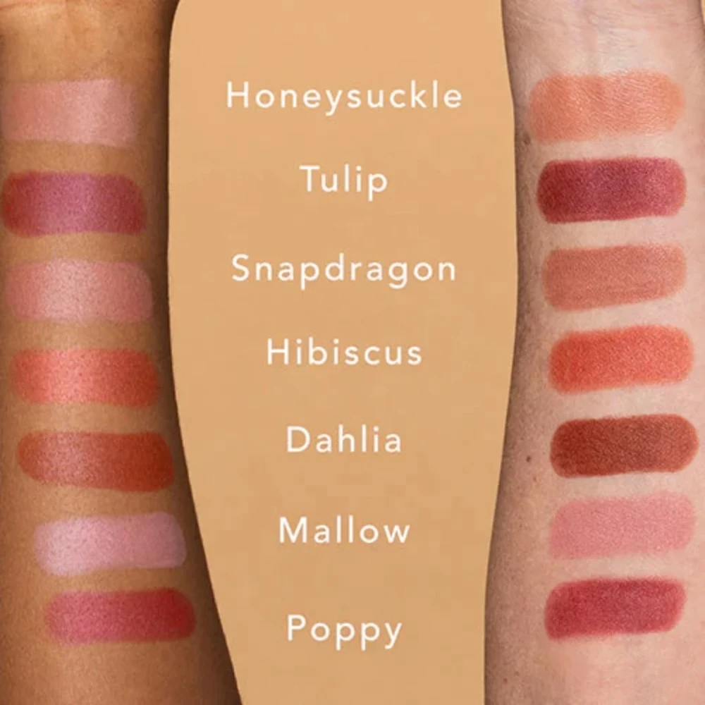 Ethique Dahlia Terracotta Brown Lipstick Duo - 8g Pack of 2 6 Ethique Dahlia Terracotta Brown Lipstick Duo - 8g Pack of 2 - Image 4