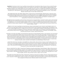 MOR Boutique Full House Luxe Hand Cream Collection - 8 Piece Gift Set -On Trend Beauty OTB 6027.alt 4