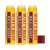 3 X Burt's Bees Wild Cherry Lip Balm 4.25g 2 3 X Burt's Bees Wild Cherry Lip Balm 4.25g -On Trend Beauty OTB 838.full